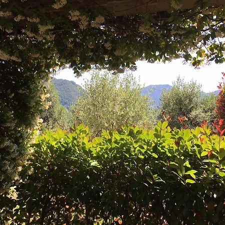 Agriturismo Tenuta La Fratta バーニ・ディ・ルッカ エクステリア 写真