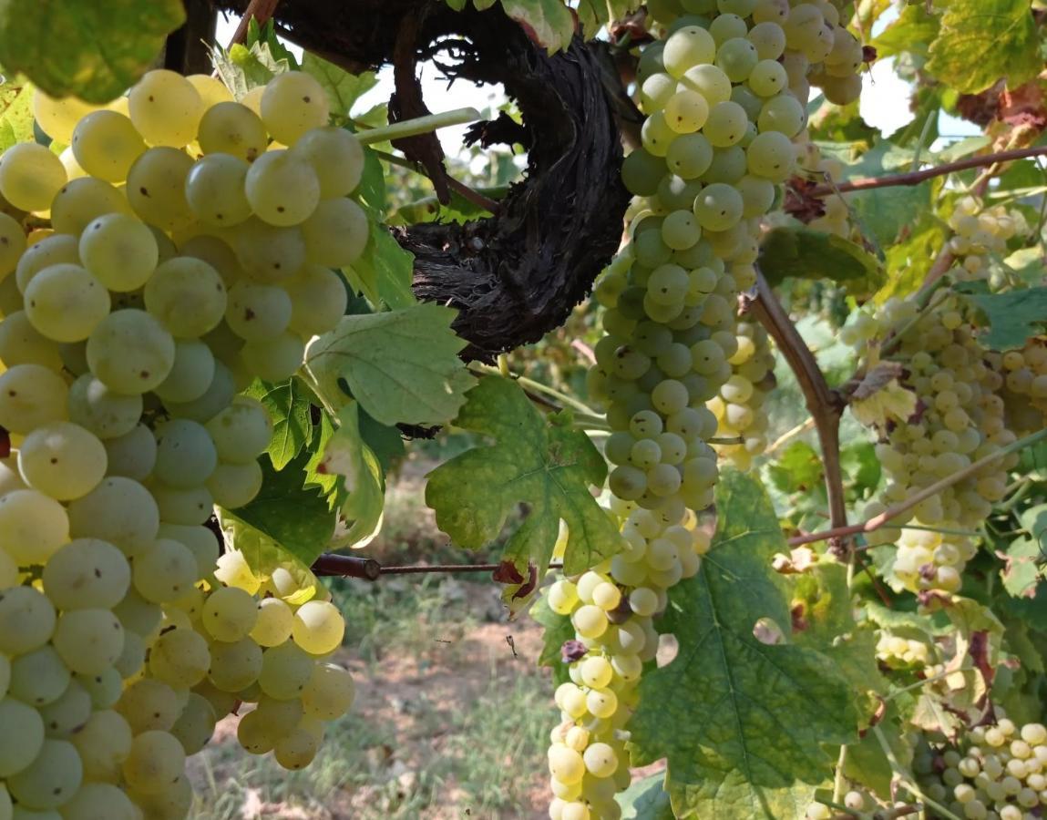Agriturismo Tenuta La Fratta バーニ・ディ・ルッカ エクステリア 写真