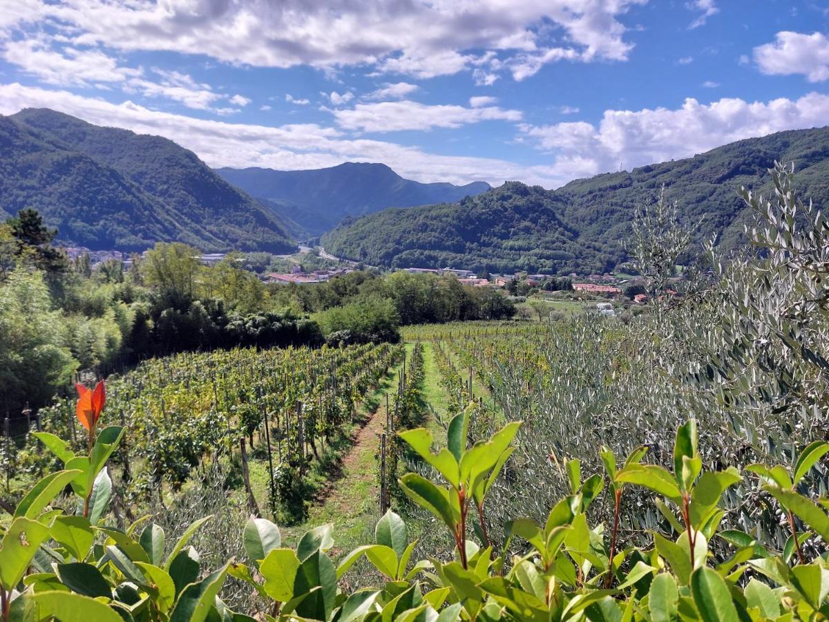 Agriturismo Tenuta La Fratta バーニ・ディ・ルッカ エクステリア 写真