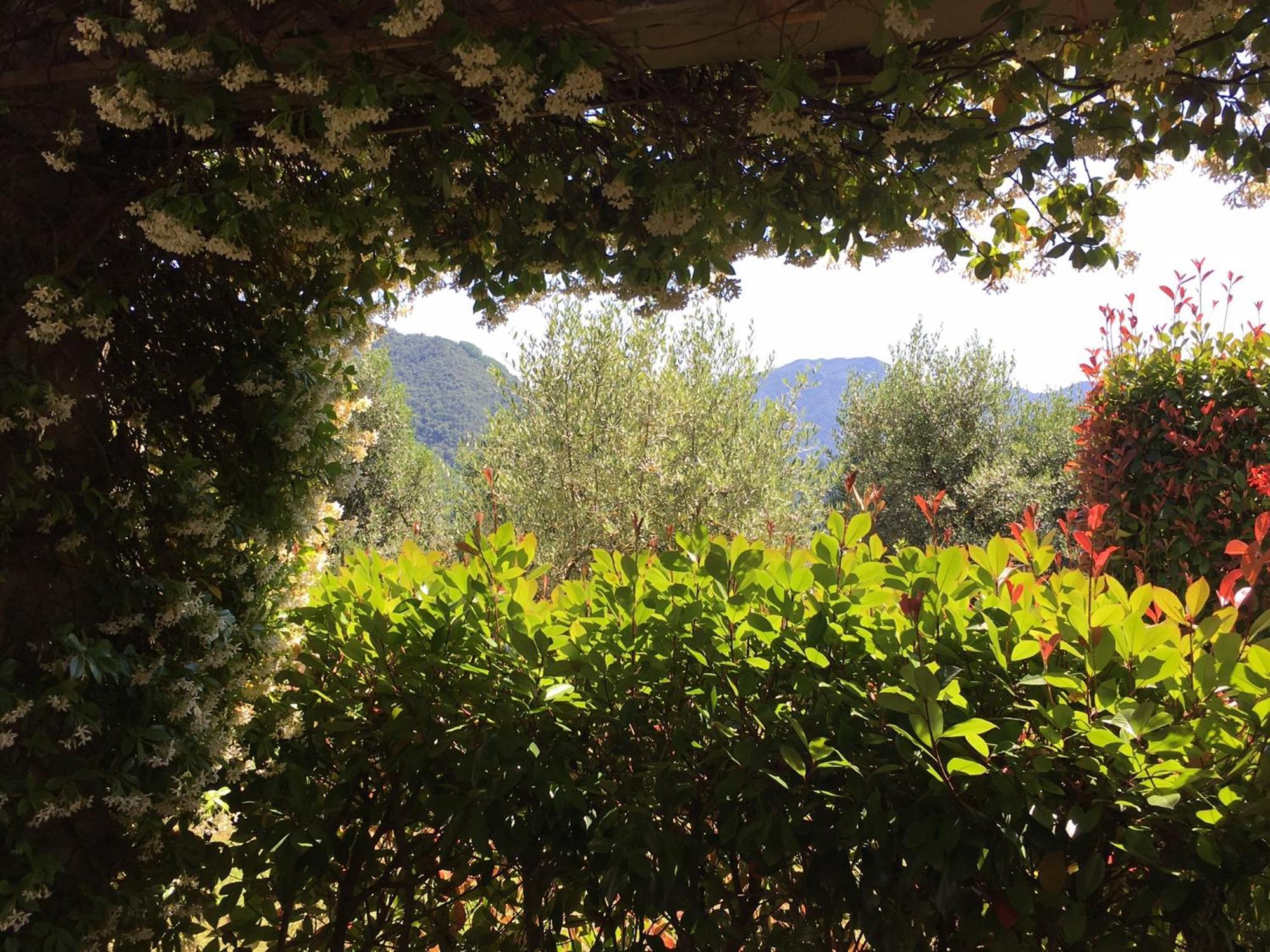 Agriturismo Tenuta La Fratta バーニ・ディ・ルッカ エクステリア 写真