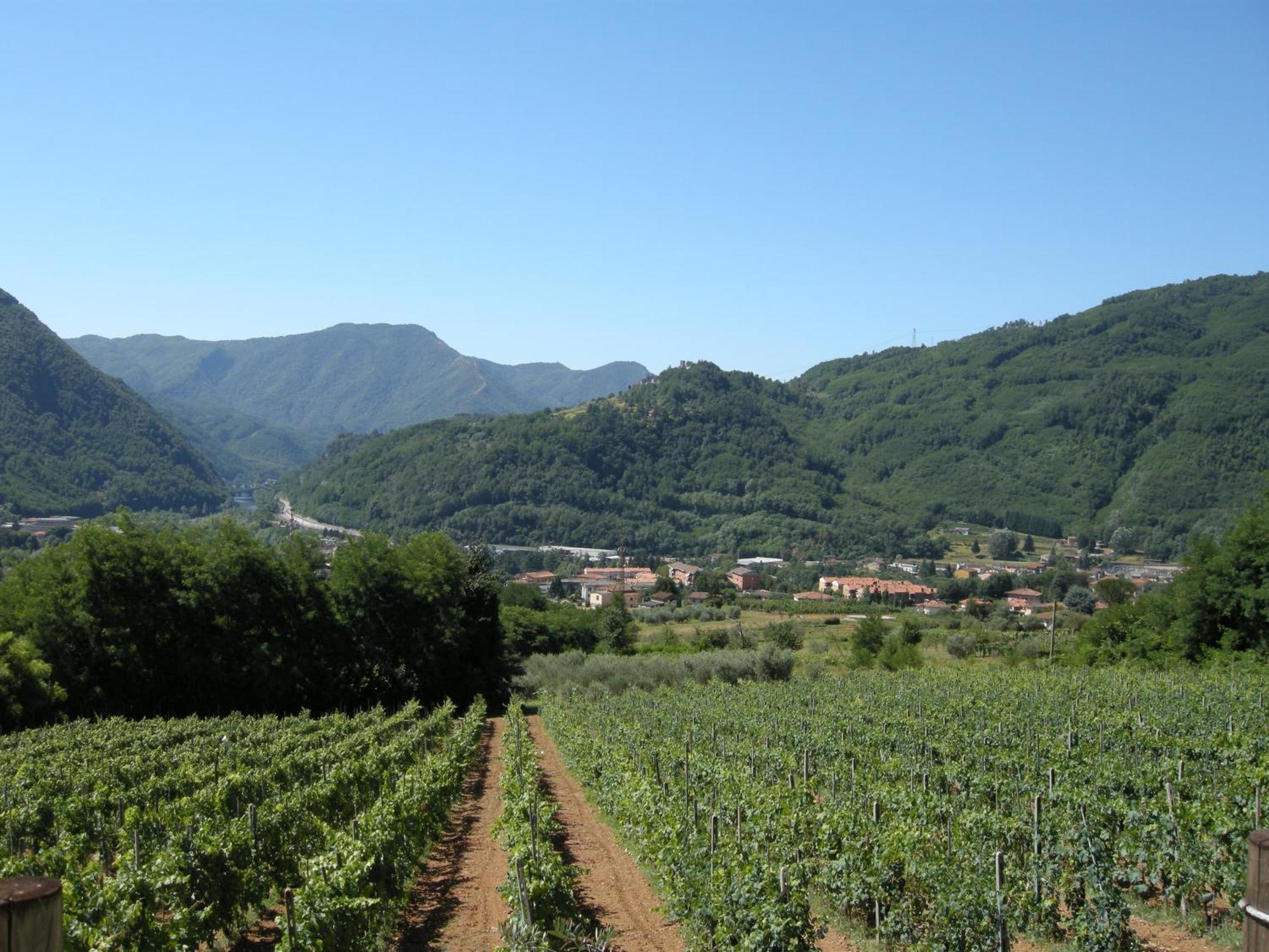 Agriturismo Tenuta La Fratta バーニ・ディ・ルッカ エクステリア 写真