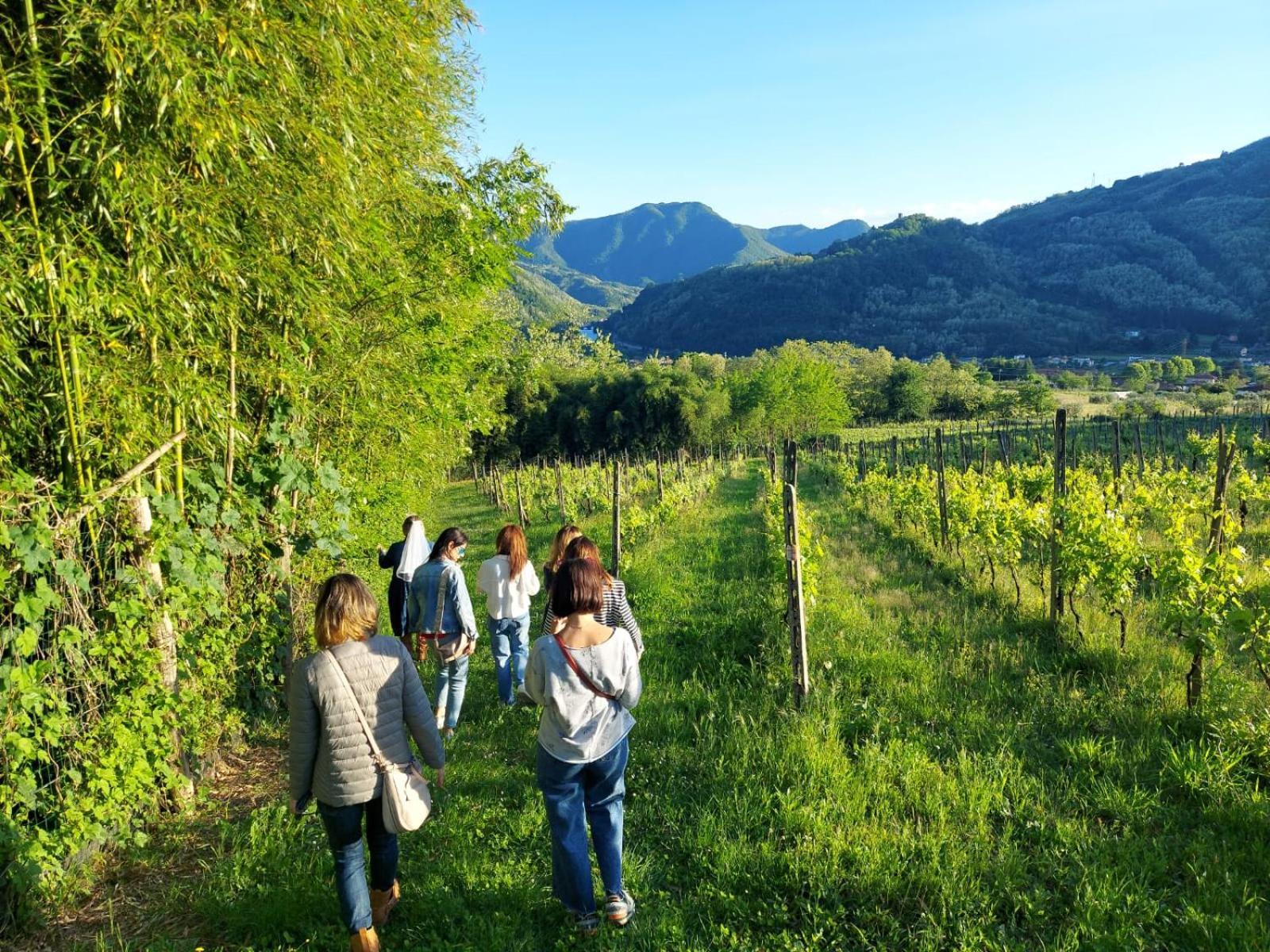 Agriturismo Tenuta La Fratta バーニ・ディ・ルッカ エクステリア 写真