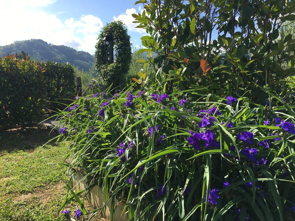 Agriturismo Tenuta La Fratta バーニ・ディ・ルッカ エクステリア 写真