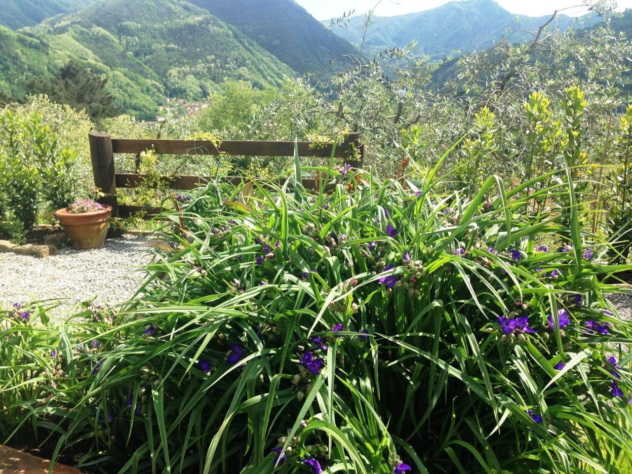 Agriturismo Tenuta La Fratta バーニ・ディ・ルッカ エクステリア 写真