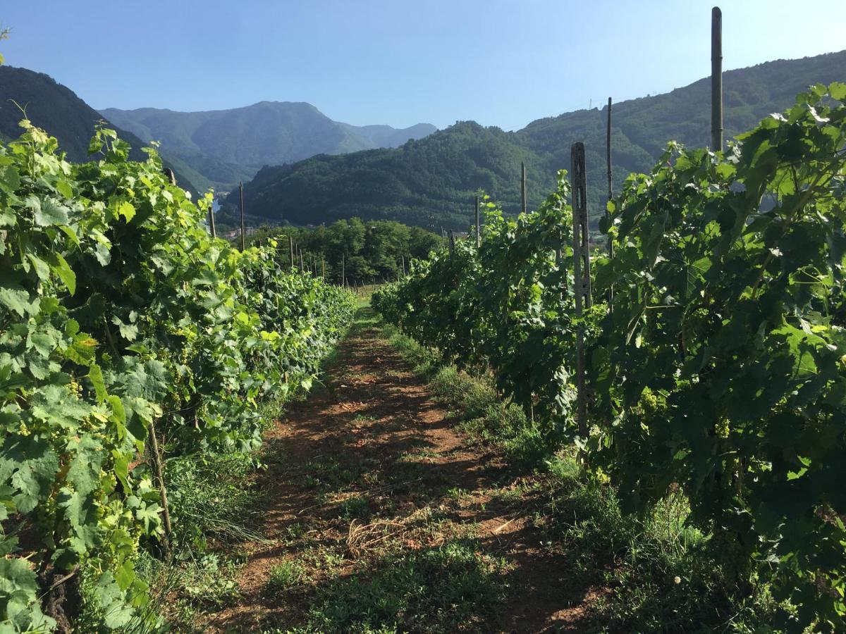 Agriturismo Tenuta La Fratta バーニ・ディ・ルッカ エクステリア 写真
